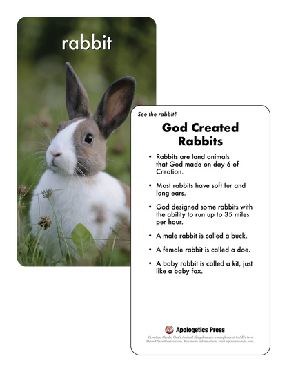 Creation Cards—God&