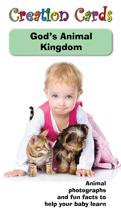 Creation Cards—God&