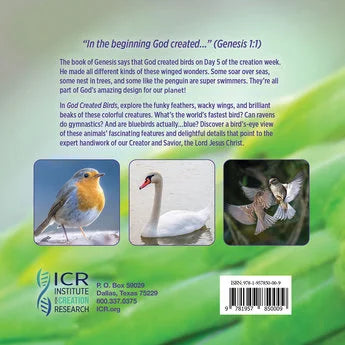 God Created Birds