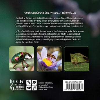 God Created Insects
