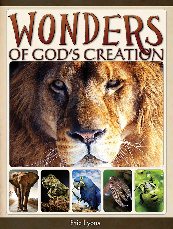 Wonders of Gods Creation
